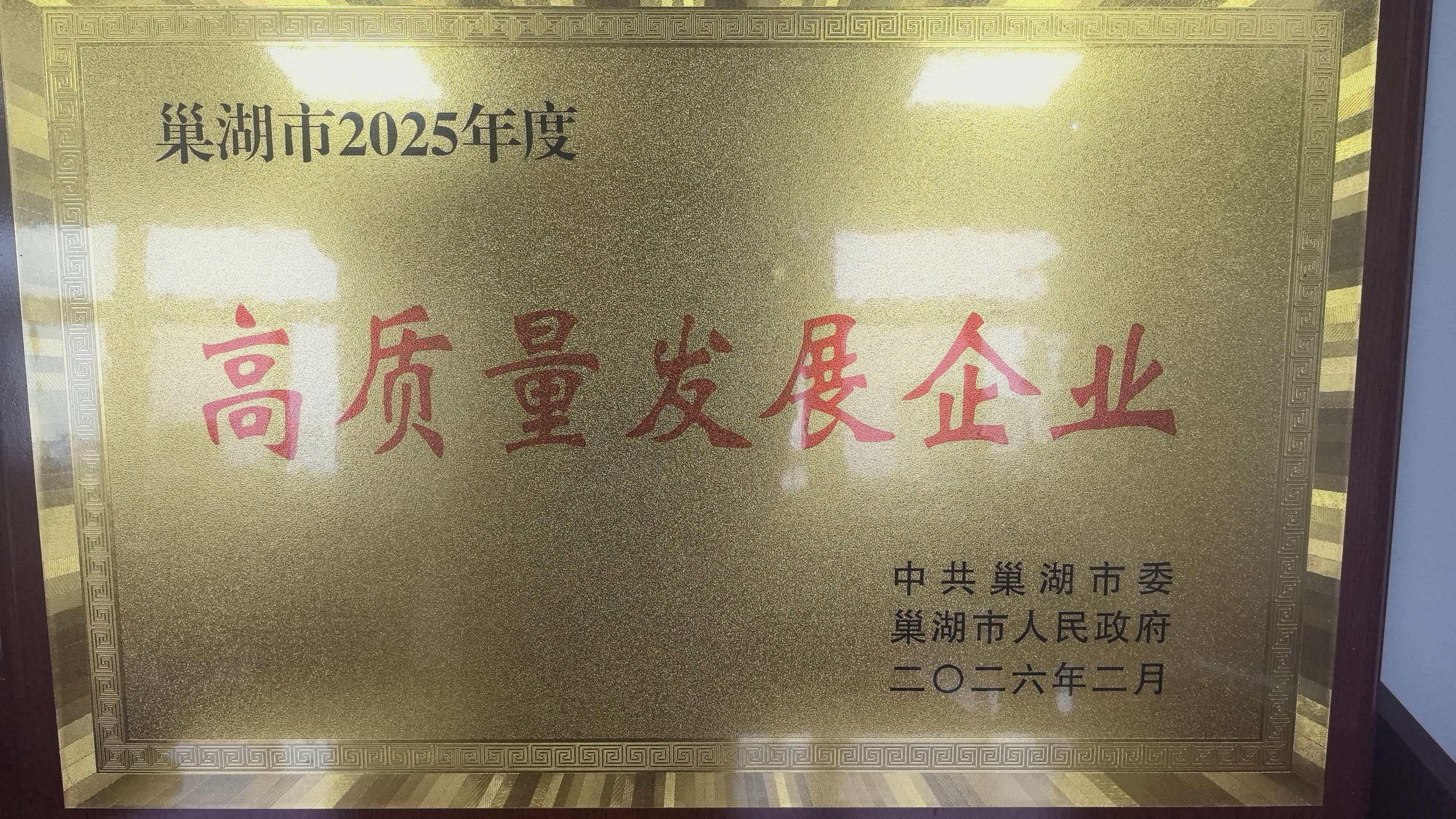 關(guān)于我司榮獲巢湖市2025年度高質(zhì)量發(fā)展企業(yè)